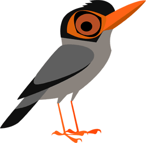 Bank Myna