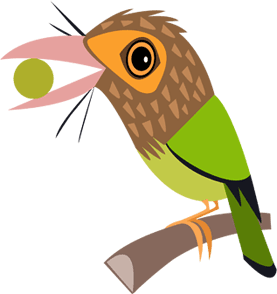 Brown-headed Barbet