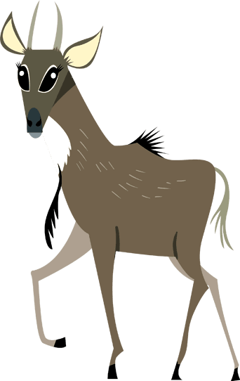 Nilgai