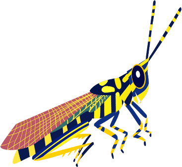 Painted grasshopper