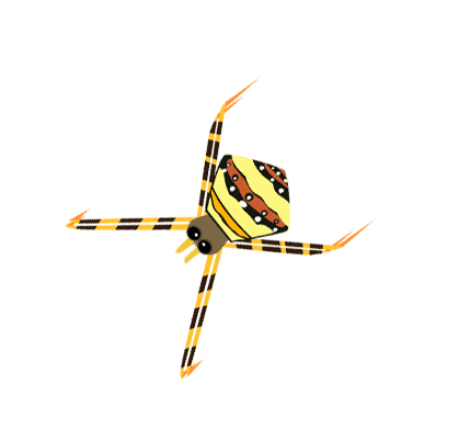 Signature spider