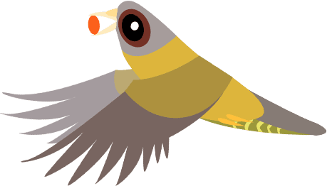 Yellow-footed green pigeon